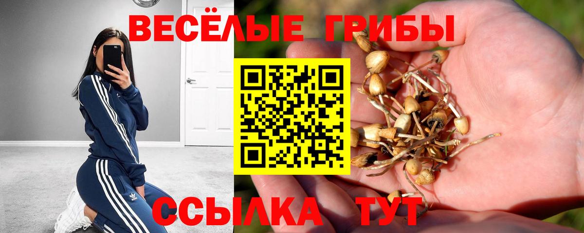 Галлюциногенные грибы MAGIC MUSHROOMS  Вход с VPN  Псилоцибиновые грибы Psilocybine cubensis  Минеральные Воды 